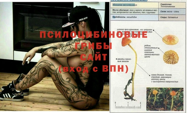 экстази Кукмор