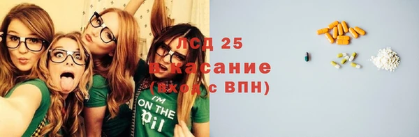 ГАЛЛЮЦИНОГЕННЫЕ ГРИБЫ Краснослободск