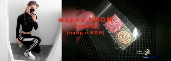 гашик Кулебаки