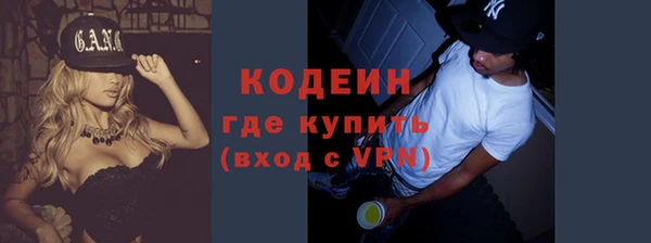 гашик Кулебаки