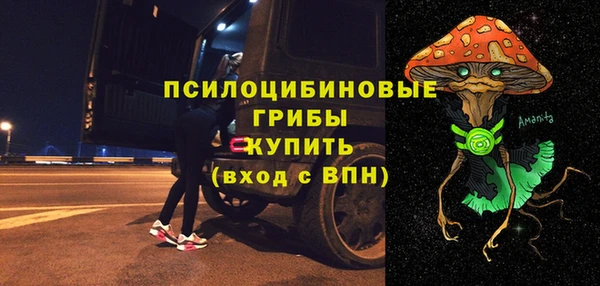 ГАЛЛЮЦИНОГЕННЫЕ ГРИБЫ Краснослободск