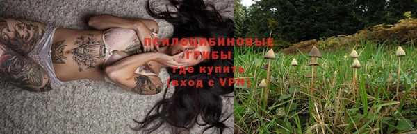 МДПВ Куйбышев