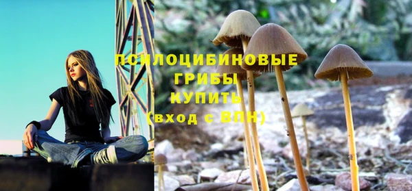 МДПВ Куйбышев