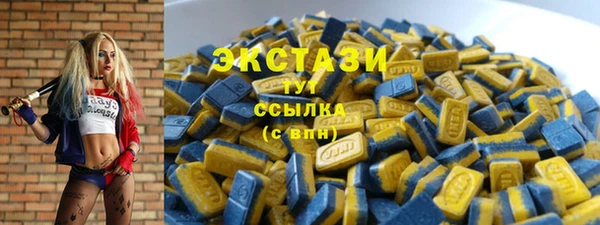 гашик Кулебаки